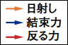 日差し　結束力　反る力