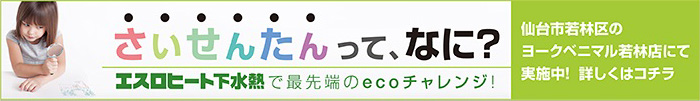 さいせんたんって、なに？