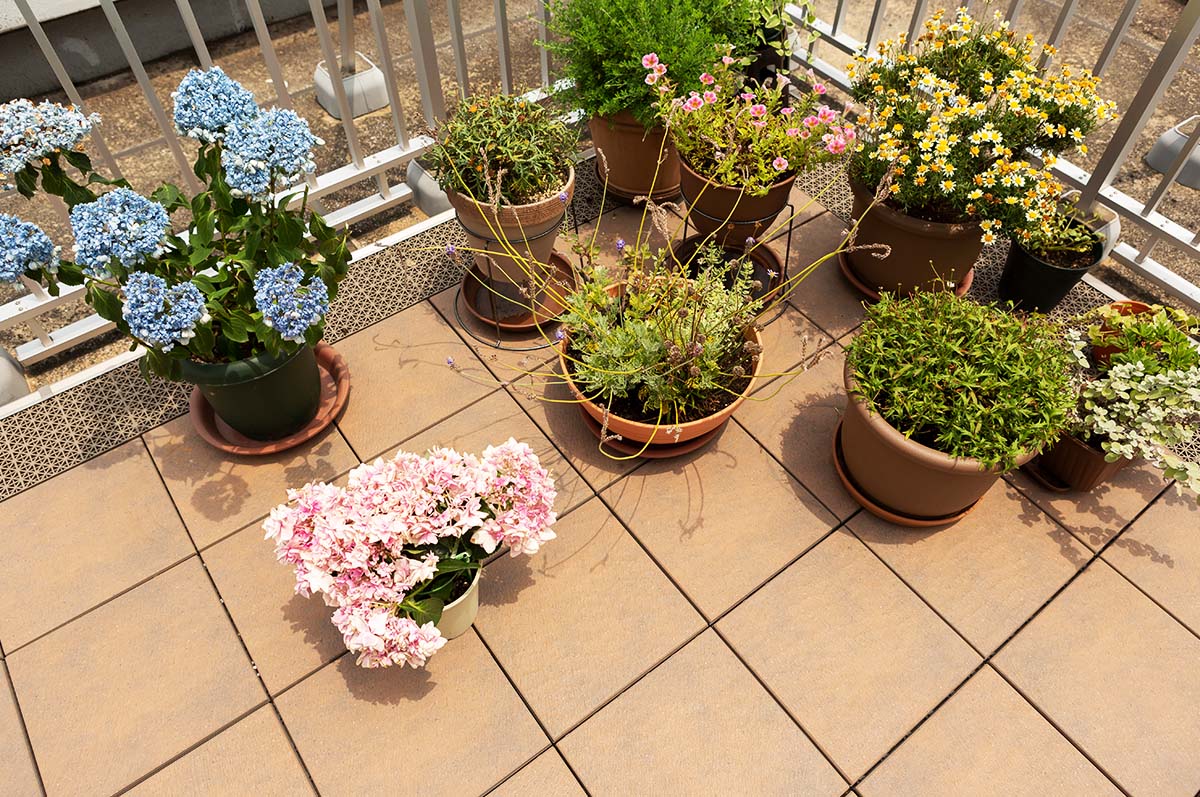 庭と違ってお手入れが簡単