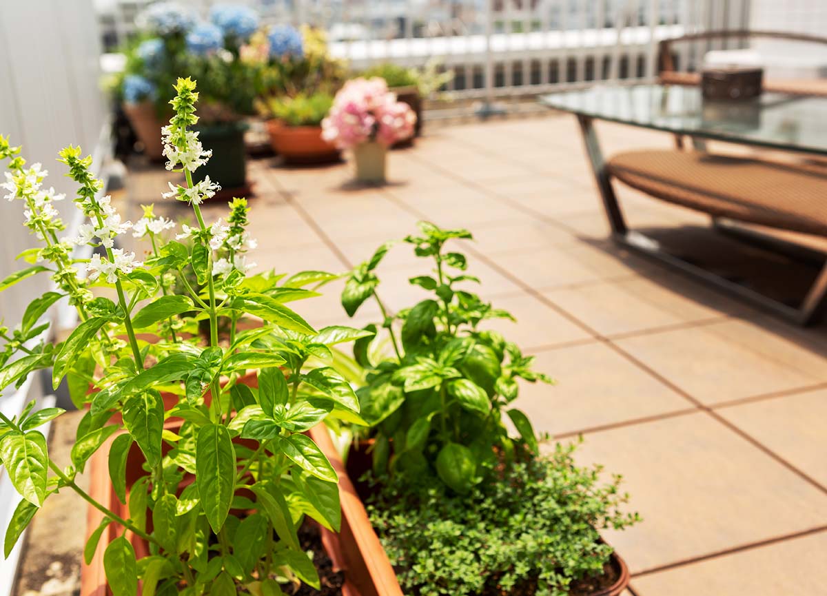 吸水しにくい磁器質タイルなので汚れが付きにくい