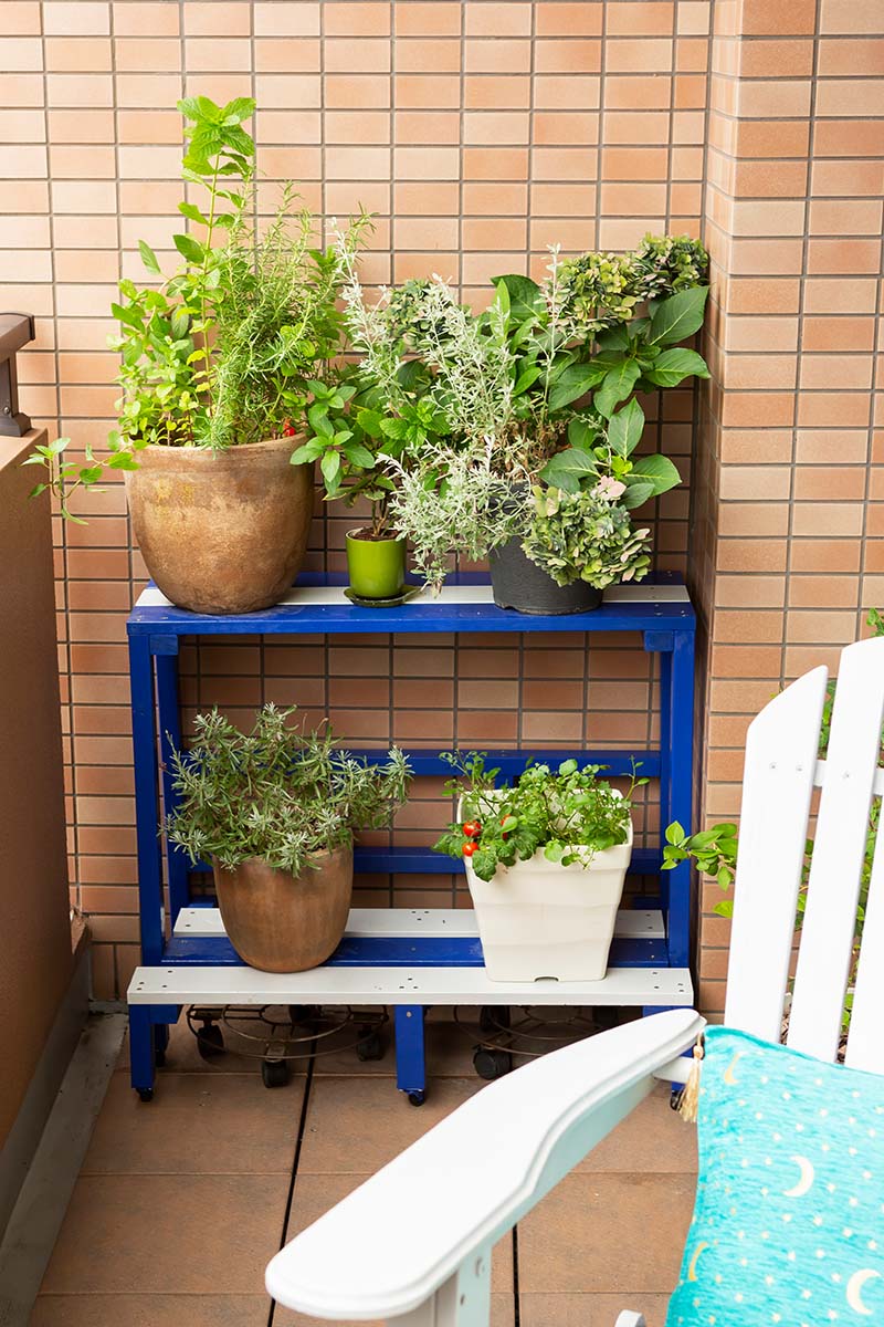 グリーンや家具が映えるから緑も喜んでいるようで並べがいがある