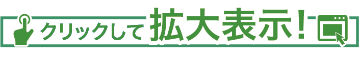 拡大表示されます。