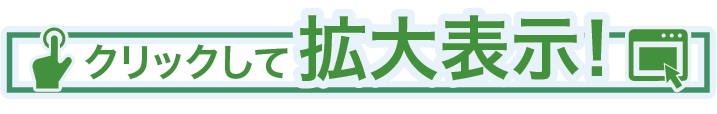 拡大表示されます。