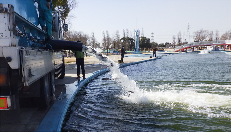 現場レポート しらこばと公園PART1