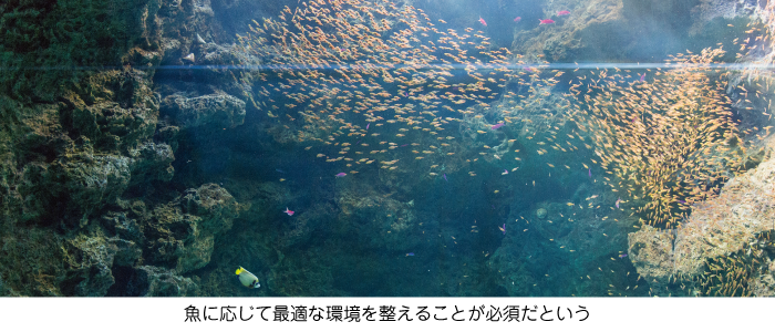 20150617news