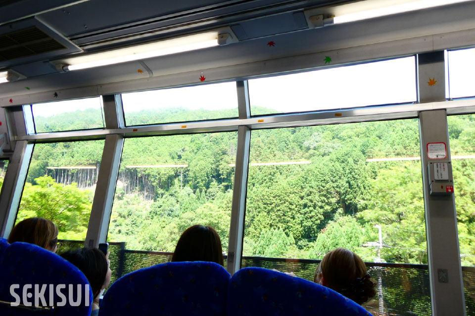 新緑の季節にも多くのお客様がご乗⾞