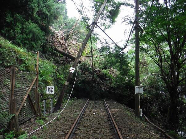 線路に覆いかぶさった⼟砂・倒⽊