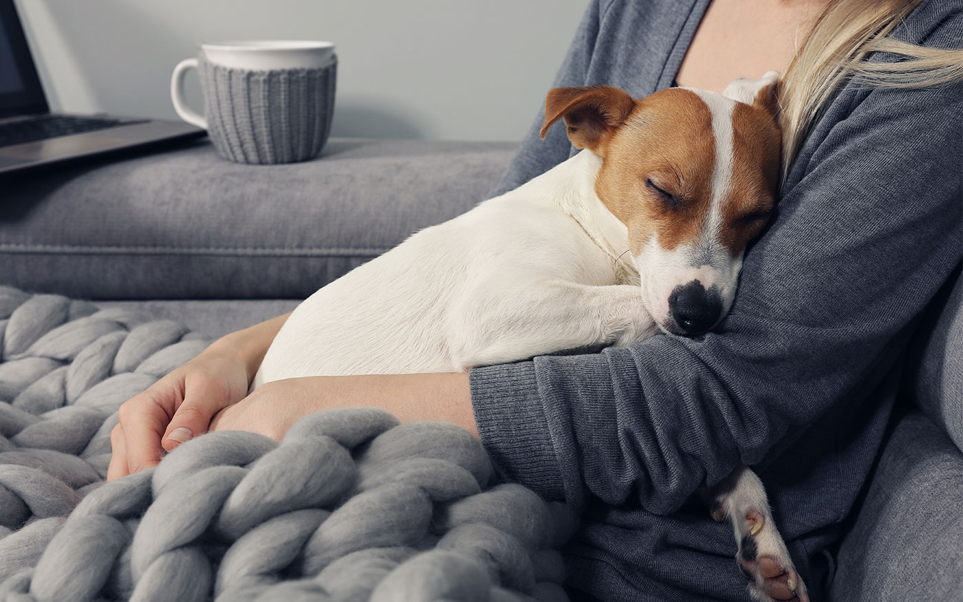 腕の中で眠る犬