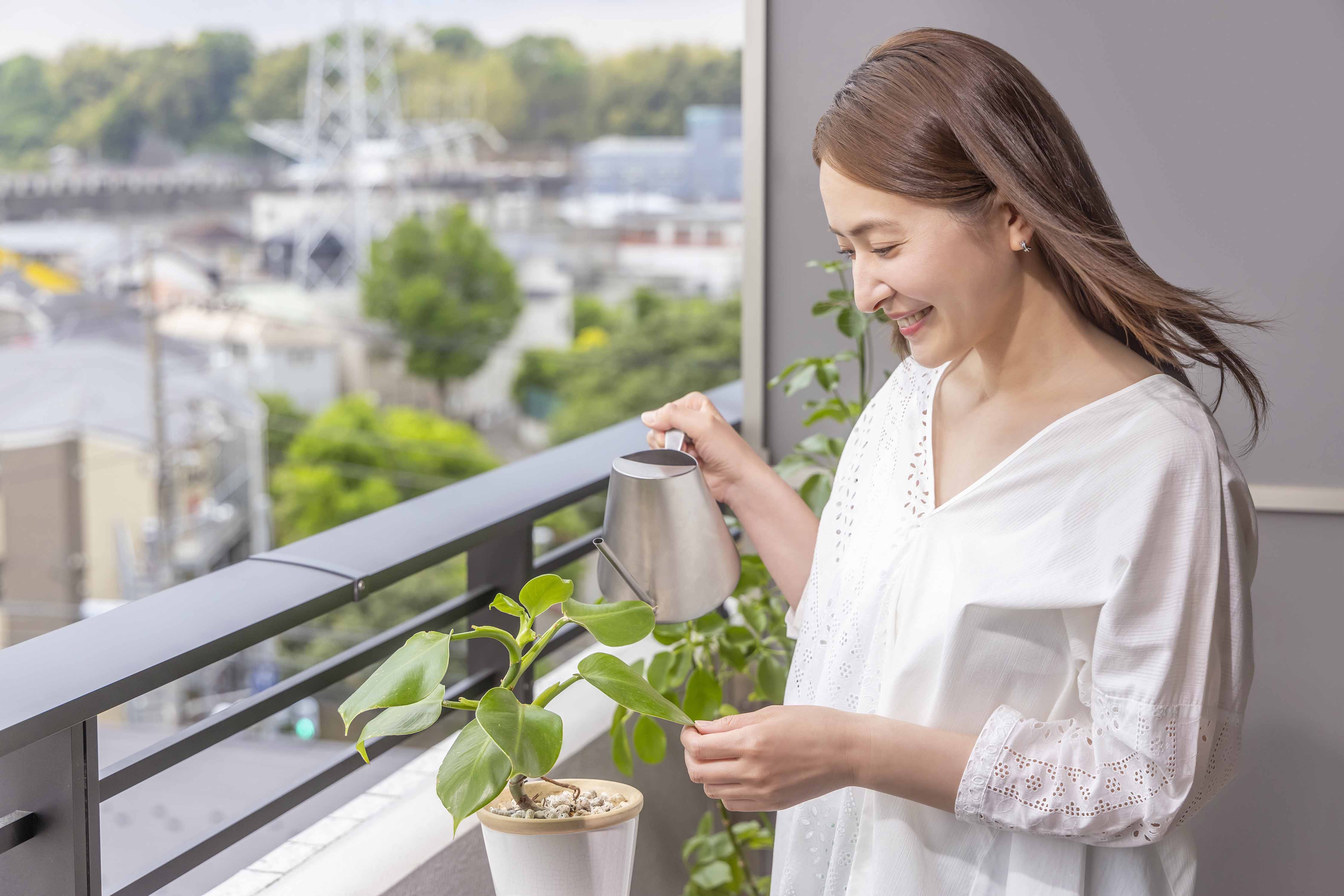 家庭菜園に挑戦してはいかがでしょうか?