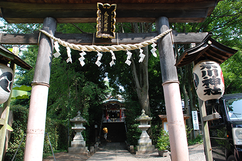 南沢氷川神社の鳥居