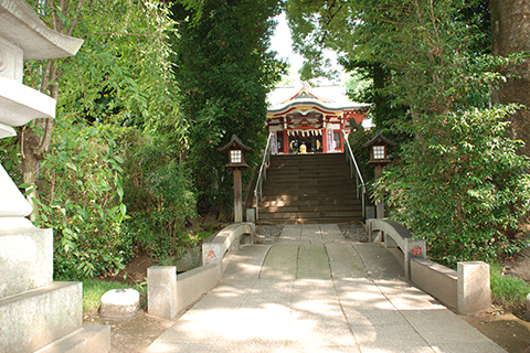 南沢氷川神社の社殿