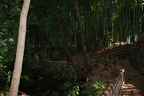 竹林公園から湧水への道