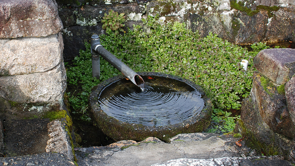 水のある旅 平成の名水百選 針江の生水 しょうず かばたを巡る旅 積水化学工業 エスロンタイムズ