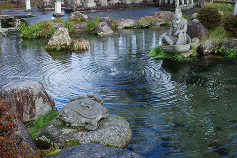 正伝寺の亀ヶ池
