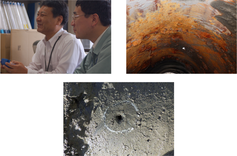 現場レポート しらこばと公園PART1