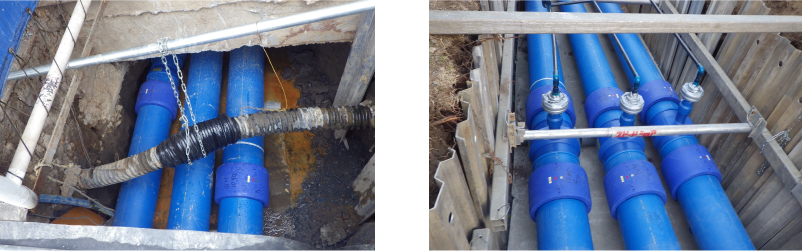 現場レポート しらこばと公園PART2